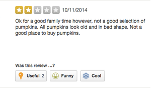 Illustration for article titled 'I Saw a Cow Chained to a Fence': Surprisingly Grim Yelp Reviews of Pumpkin PatchesÂ